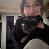 Pet care in Lyndhurst - Jess G.
