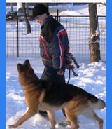 Pet care in Wakefield - Ivans A.