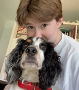 Pet care in Kingston upon Thames - Sophie C.