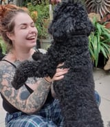 Pet care in Tipton - Zoë L.