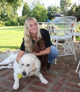 Pet care in Shedfield - Tilly B.