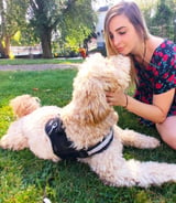 Pet care in Streatham - Emma Y.