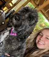 Pet care in Kew Green - Olivia S.