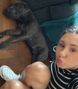 Pet care in Portsmouth - Faye H.