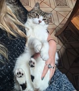 Pet care in London - Lea P.
