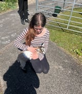 Pet care in Warsash - Phoebe E.