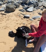 Pet care in Fernhurst - Lily W.