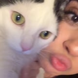 Pet care in Wandsworth - Maryam A.