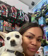 Pet care in Watford - Kellen O.