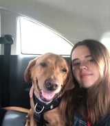Pet care in Manchester - Sophia C.