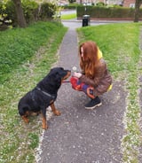 Pet care in Newcastle - Kateryna H.