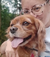 Pet care in Salford - Clair S.