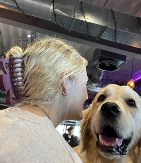 Pet care in Guildford - Allie C.